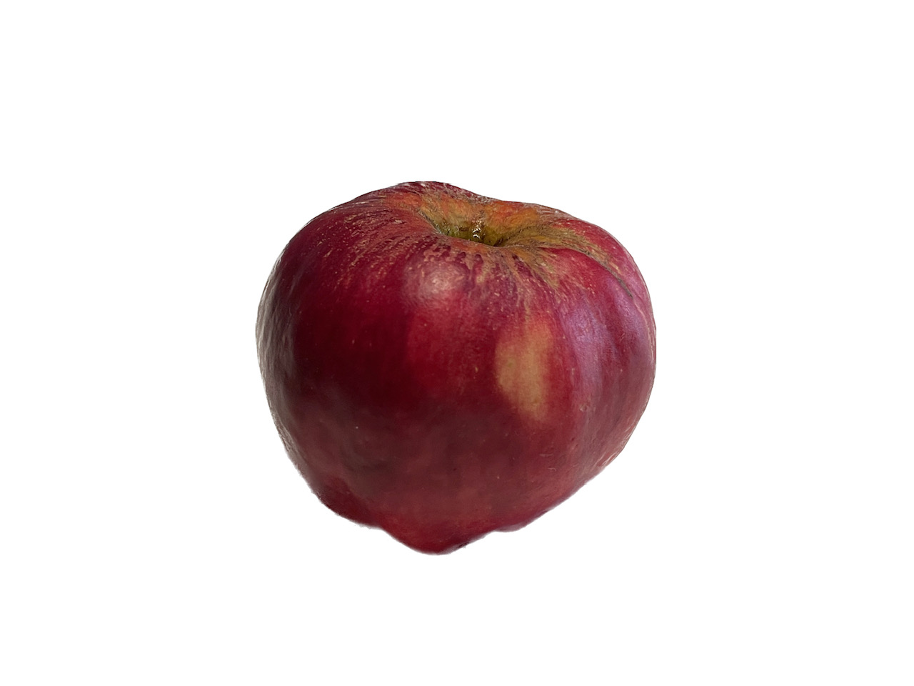 Obsthof Cordes - Fruchtfoto Roter Herbstkalvill